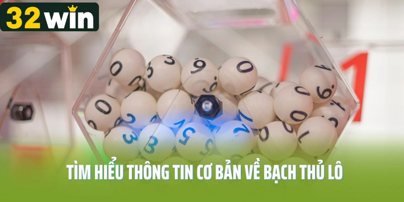 Tìm hiểu thông tin cơ bản về bạch thủ lô là gì