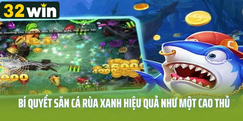 Bí quyết săn cá rùa xanh hiệu quả như một cao thủ