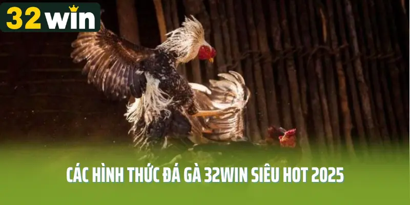 Các hình thức đá gà 32win siêu hot 2025