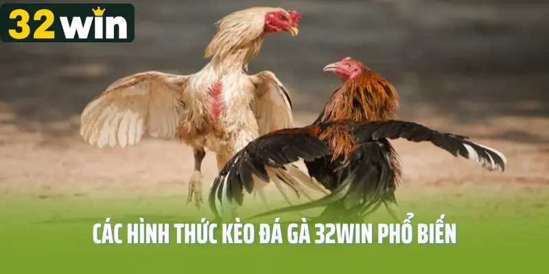 Các hình thức kèo đá gà 32win phổ biến