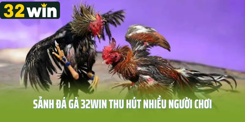 Sảnh đá gà 32win thu hút nhiều người chơi