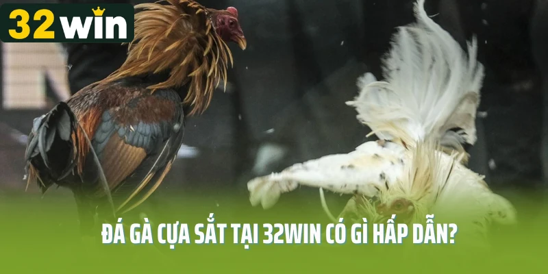 Đá gà cựa sắt tại 32WIN có gì hấp dẫn?