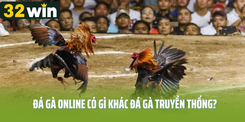 Đá gà online có gì khác đá gà truyền thống?
