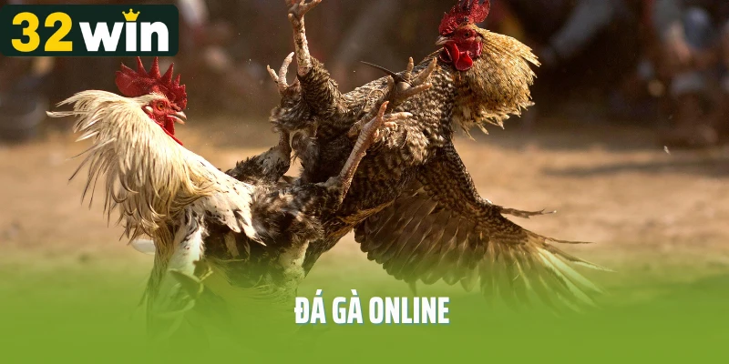 Đá Gà Online - Trải Nghiệm Những Trận Đấu Mãn Nhãn Nhất 2025