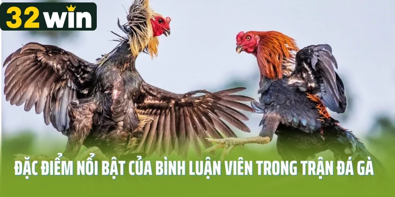 Đặc điểm nổi bật của bình luận viên trong trận đá gà