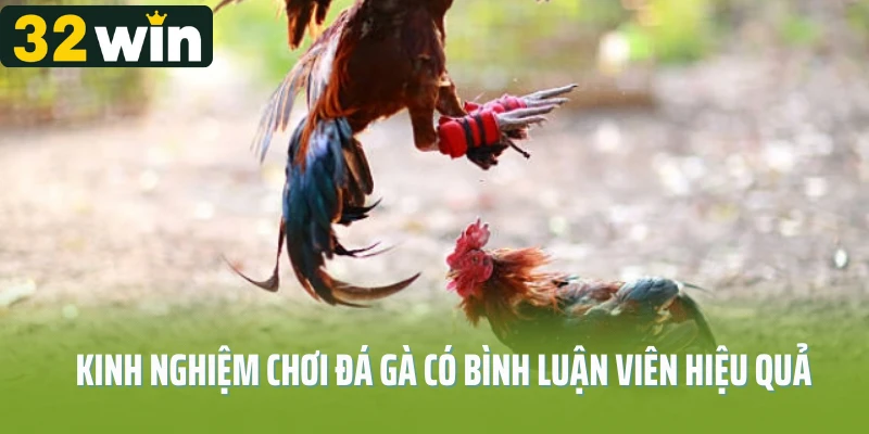 Kinh nghiệm chơi đá gà có bình luận viên hiệu quả