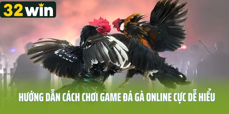 Hướng dẫn cách chơi game đá gà online cực dễ hiểu