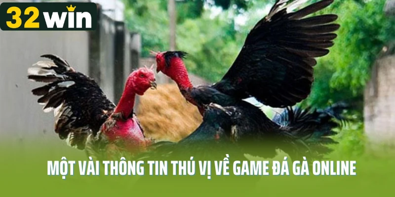 Một vài thông tin thú vị về game đá gà online