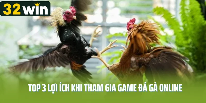 Top 3 lợi ích khi tham gia game đá gà online tại 32WIN