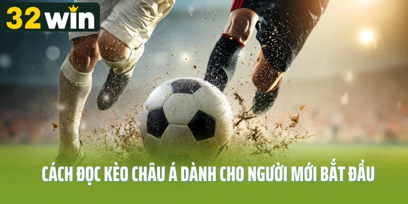 Cách đọc kèo châu Á dành cho người mới bắt đầu
