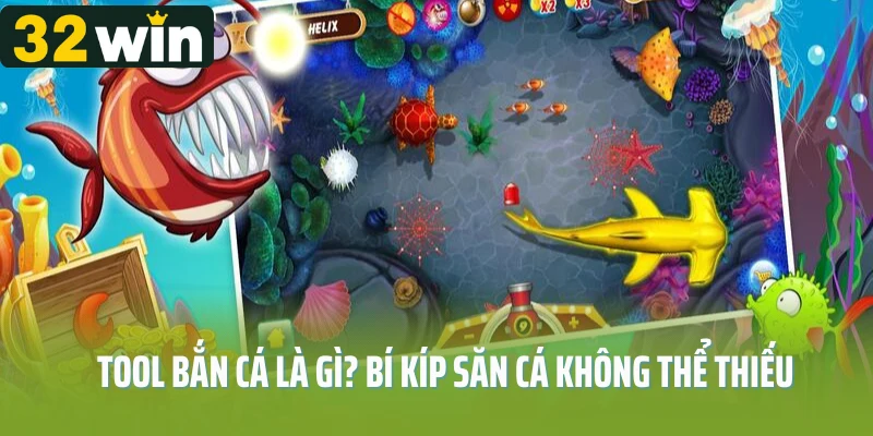 Tool bắn cá là gì? Bí kíp săn cá không thể thiếu