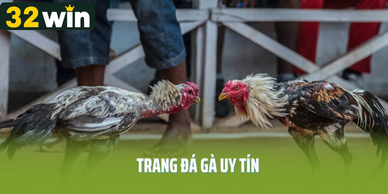 Sự Hấp Dẫn Đến Từ Trang Đá Gà Uy Tín 32Win 