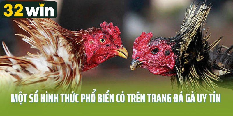 Một số hình thức phổ biến có trên trang đá gà uy tín 